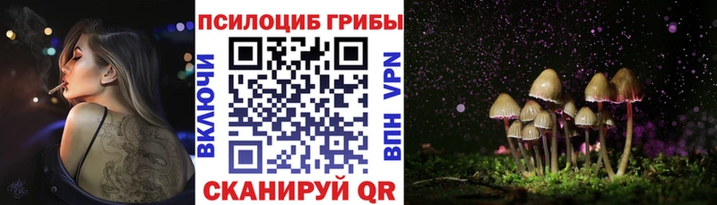купить наркотик  Минусинск  Псилоцибиновые грибы ЛСД 